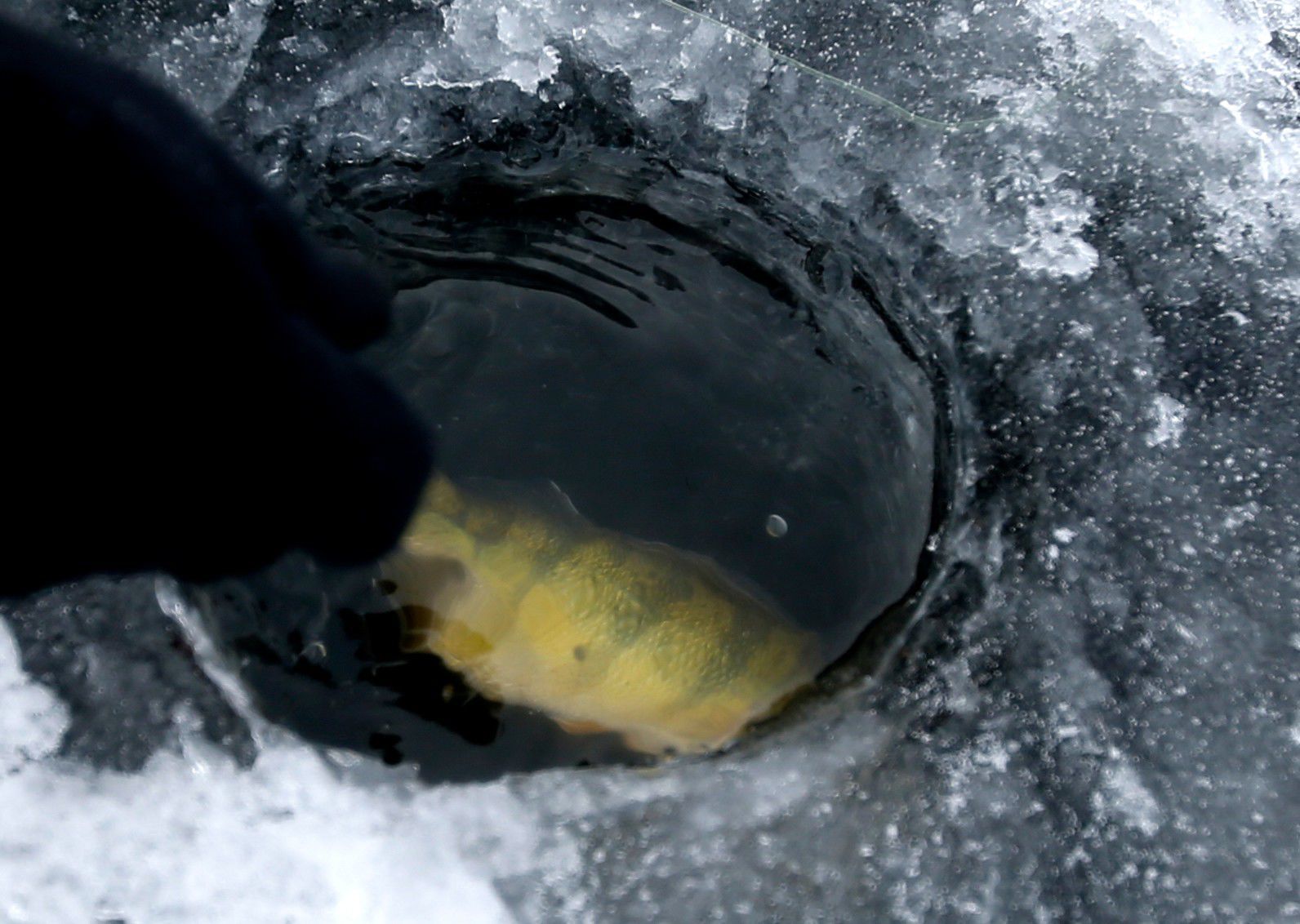 Ice fishing workshop